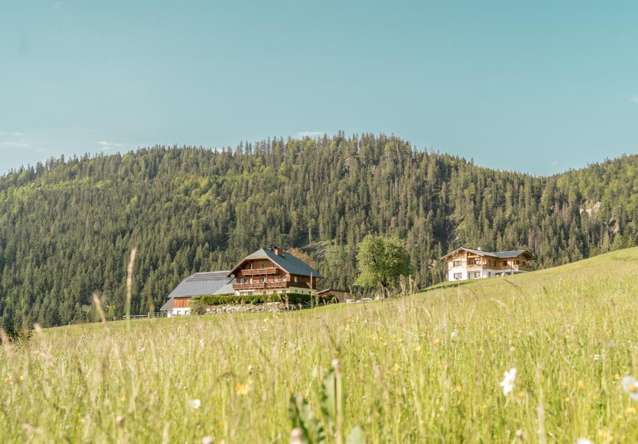 Bio Bauernhof Oberhinterberg Appartement Аннаберг-им-Ламмерталь Экстерьер фото